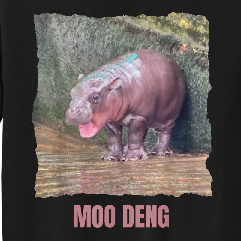 Baby Cute Pygmy Hippo Moo Deng Funny Gift Sweatshirt