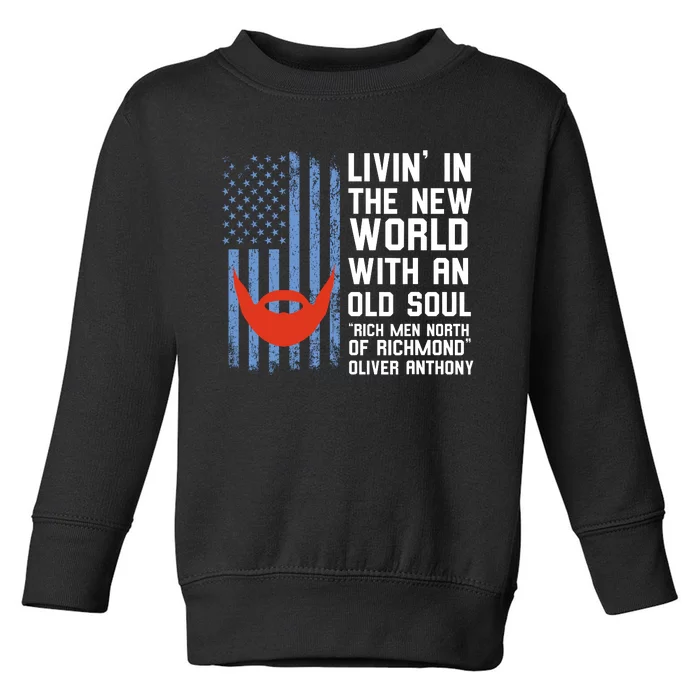 Blue Collar Rich North Of Richmond Flag Toddler Sweatshirt