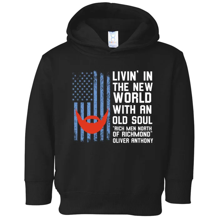 Blue Collar Rich North Of Richmond Flag Toddler Hoodie