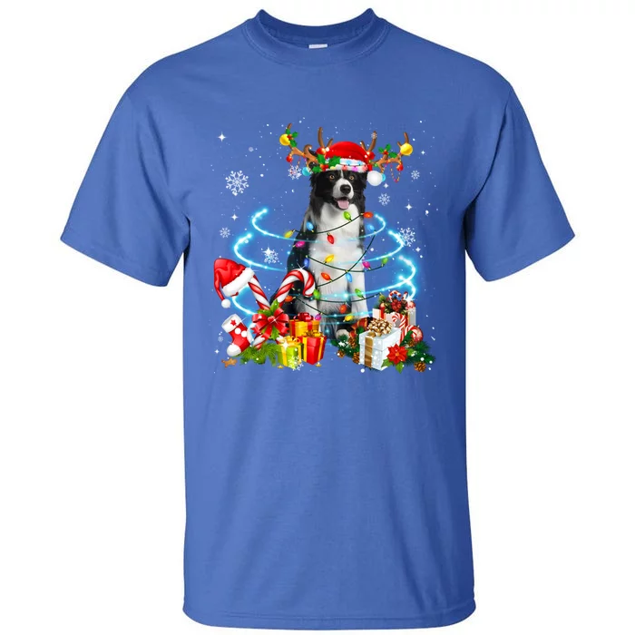 Border Collie Reindeer Christmas Tree Lights Pajama Dog Xmas Cool Gift Tall T-Shirt