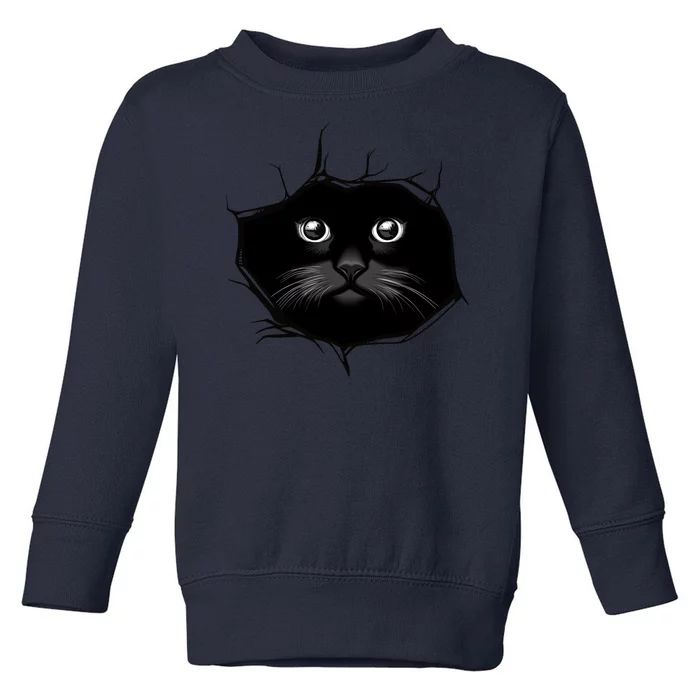 Black Cat Stares At You Cat Eyes Toddler Sweatshirt