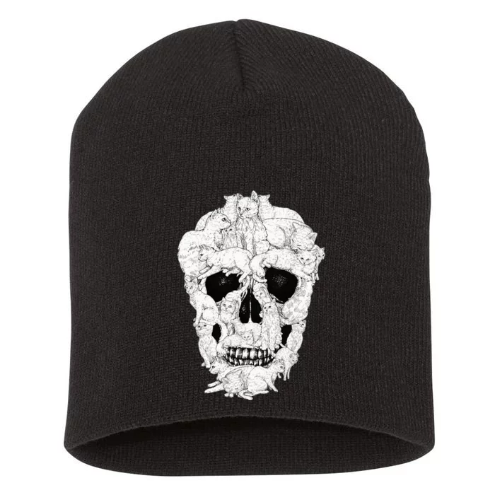 Best Cat Skull Halloween Skeleton Cat Lover Short Acrylic Beanie