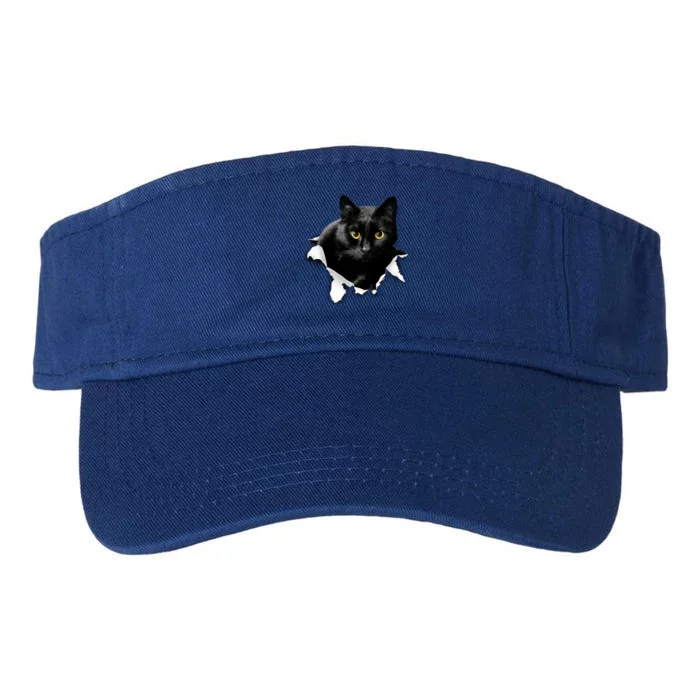 Black Cat Torn Cloth Gifts For Cat Lover Cat Dad Cat Mom Valucap Bio-Washed Visor