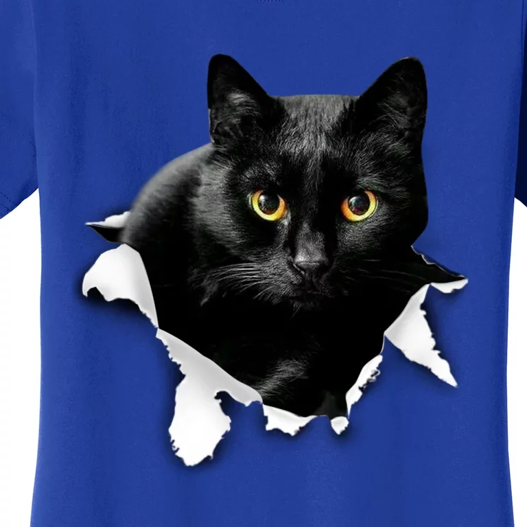 Black Cat Torn Cloth Gifts For Cat Lover Cat Dad Cat Mom Women's T-Shirt