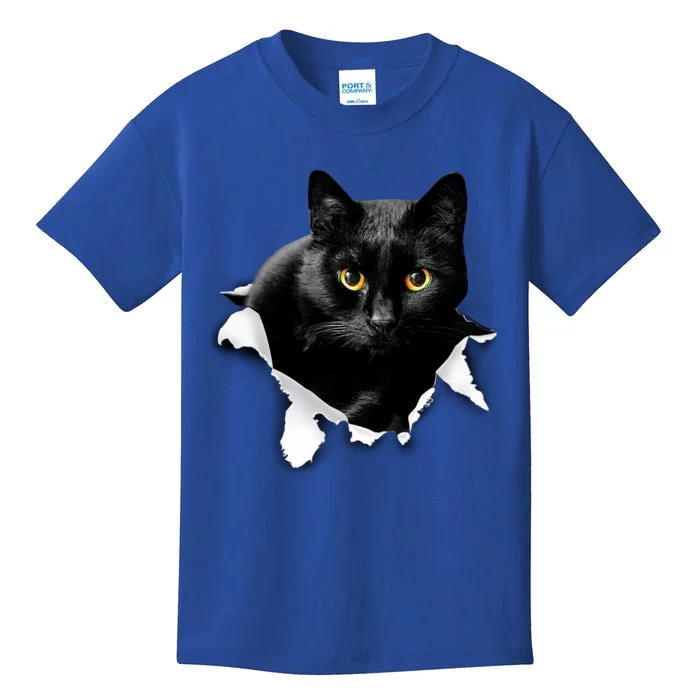 Black Cat Torn Cloth Gifts For Cat Lover Cat Dad Cat Mom Kids T-Shirt