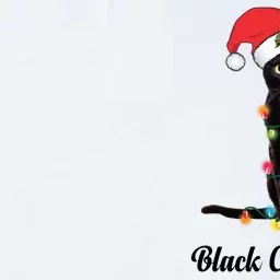 Black Cat With Santa Hat Tangled Up In Christmas Lights Gift Softstyle Adult Sport Polo