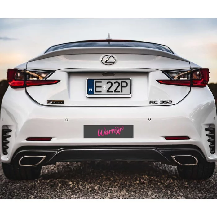 Breast Cancer Warrior Bumper Sticker