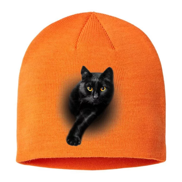 Black Cat Yellow Eyes Cats Gifts Funny 8 1/2in Sustainable Knit Beanie