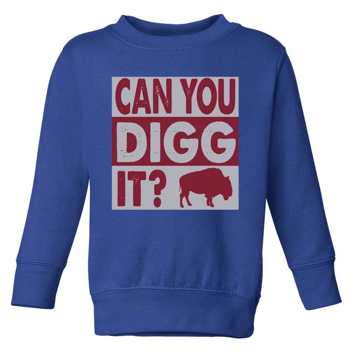 Buffalo Can You Digg It Great Football Fans Lovers Gift Toddler Sweatshirt