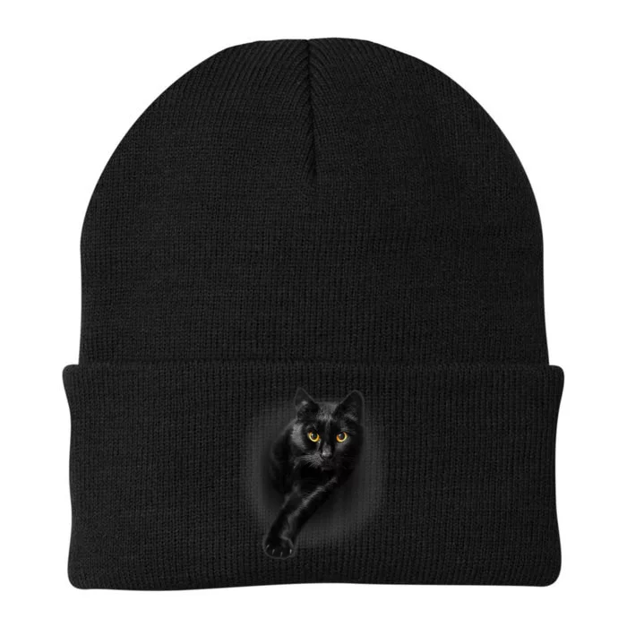 Black Cat Yellow Eyes TShirt Cats Tee Shirt Knit Cap Winter Beanie