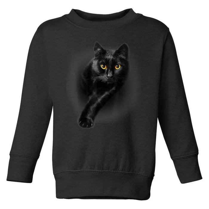 Black Cat Yellow Eyes TShirt Cats Tee Shirt Toddler Sweatshirt