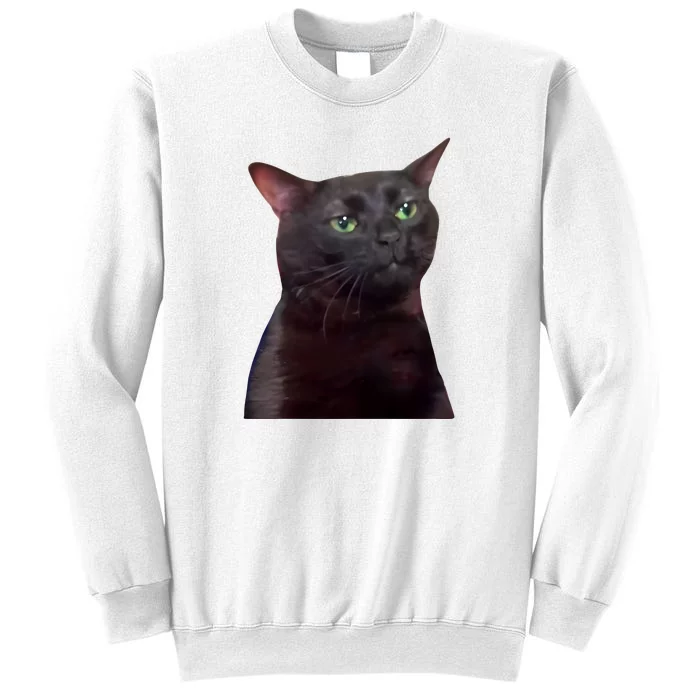 Black Cat Zoning Out Sweatshirt