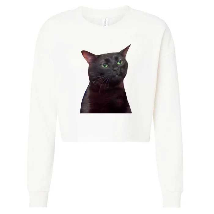 Black Cat Zoning Out Cropped Pullover Crew