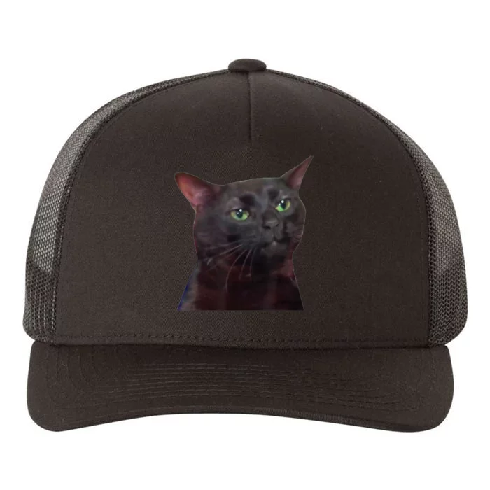 Black Cat Zoning Out Yupoong Adult 5-Panel Trucker Hat