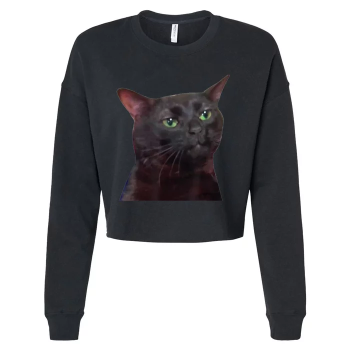 Black Cat Zoning Out Cropped Pullover Crew