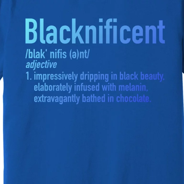 Blacknificent Definition Black History Black Pride Cool Gift Premium T-Shirt