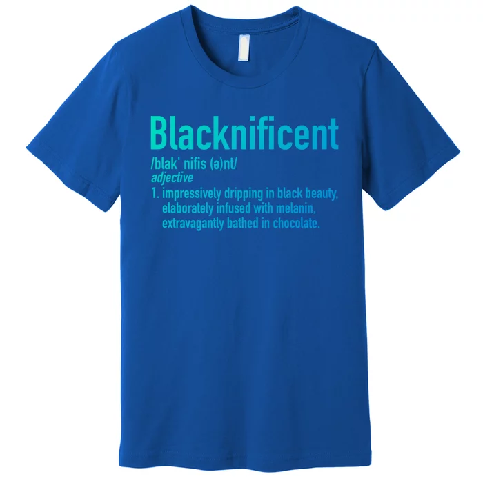 Blacknificent Definition Black History Black Pride Cool Gift Premium T-Shirt