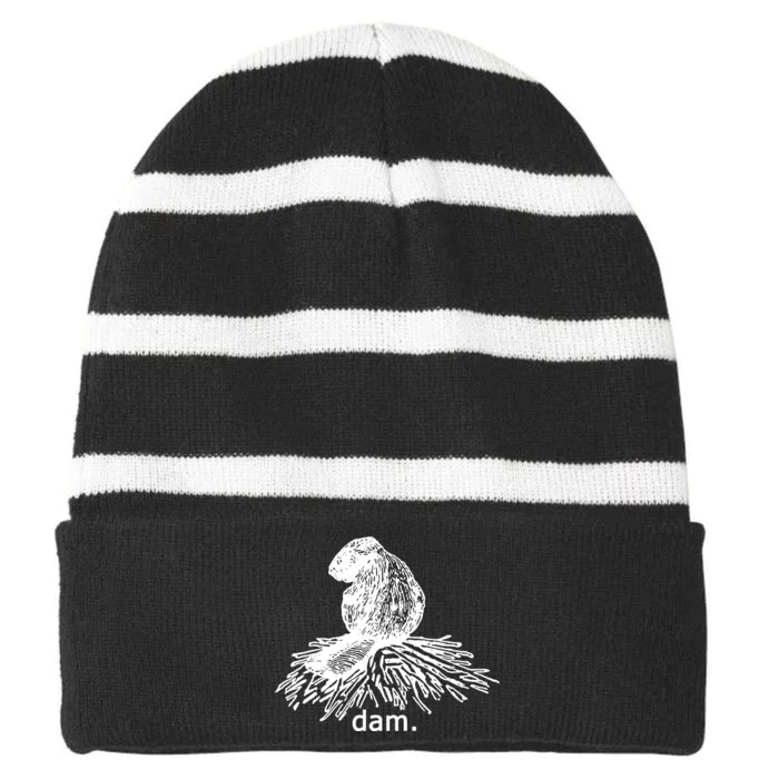 Beaver Dam Striped Beanie with Solid Band