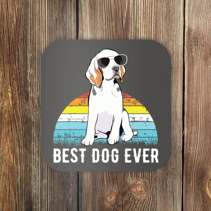 Beagle Dog Breed Funny Coaster