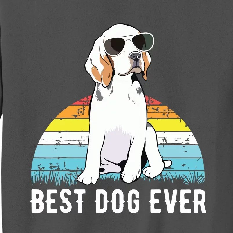 Beagle Dog Breed Funny Tall Sweatshirt