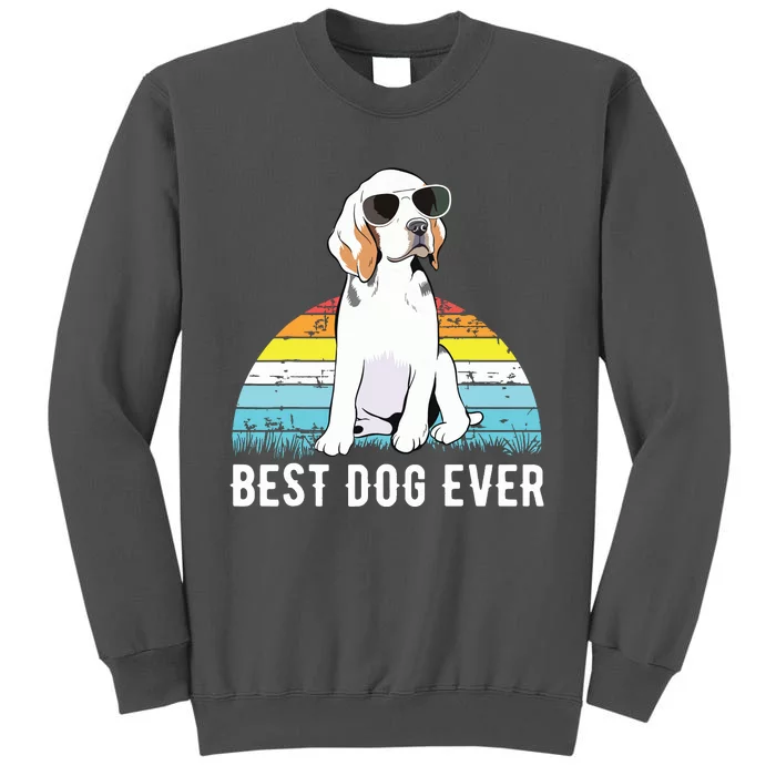 Beagle Dog Breed Funny Tall Sweatshirt