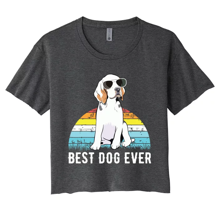 Beagle Dog Breed Funny Women's Crop Top Tee