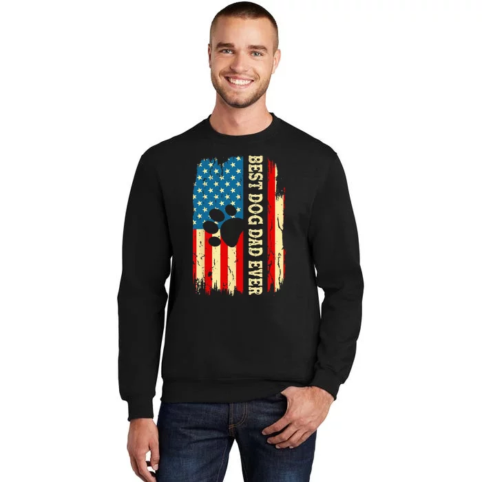 Best Dog Dad Ever Us American Flag Fathers Day Dog Dad Sweatshirt