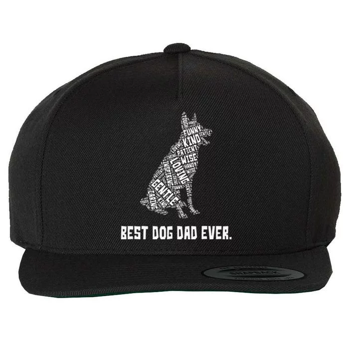 Best Dog Dad Ever Fathers Day For Dog Lovers Wool Snapback Cap