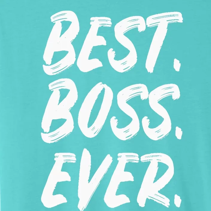 Boss Day Employee Appreciation Office Gift |S & Wo ChromaSoft Performance T-Shirt