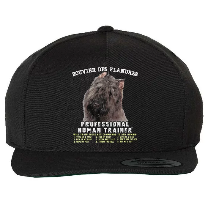 Bouvier Des Flandres Professional Human Trainer Cute Dog Wool Snapback Cap