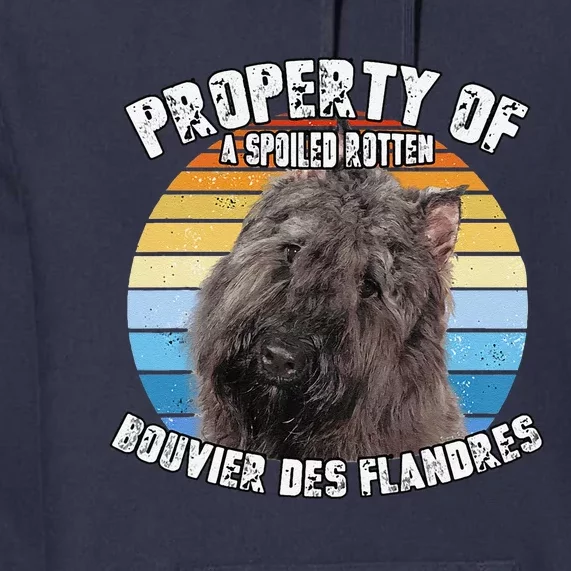 Bouvier Des Flandres Retro Property Of Cute Dog Premium Hoodie