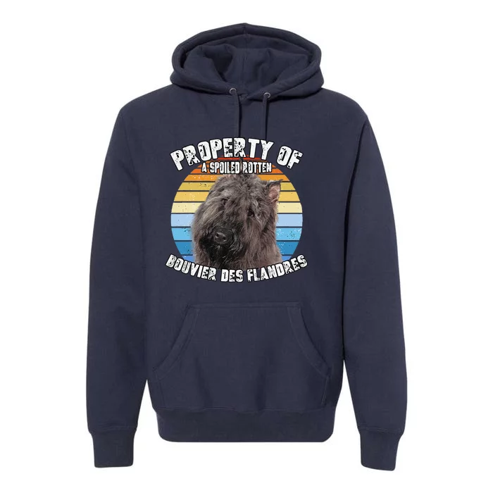 Bouvier Des Flandres Retro Property Of Cute Dog Premium Hoodie