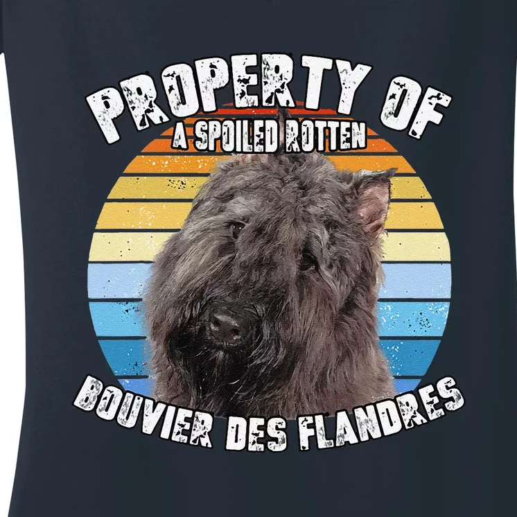 Bouvier Des Flandres Retro Property Of Cute Dog Women's V-Neck T-Shirt