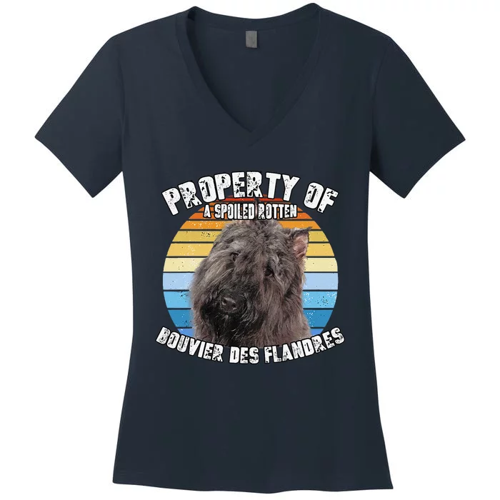 Bouvier Des Flandres Retro Property Of Cute Dog Women's V-Neck T-Shirt