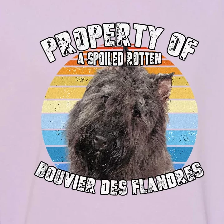 Bouvier Des Flandres Retro Property Of Cute Dog Garment-Dyed Sweatshirt