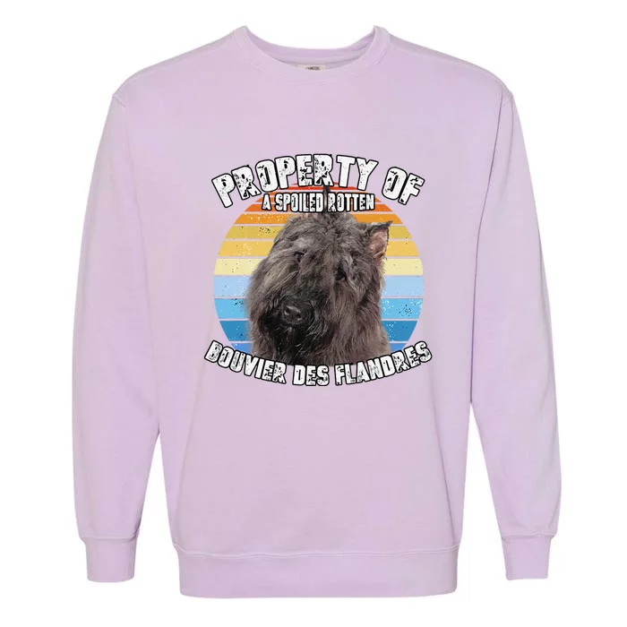 Bouvier Des Flandres Retro Property Of Cute Dog Garment-Dyed Sweatshirt