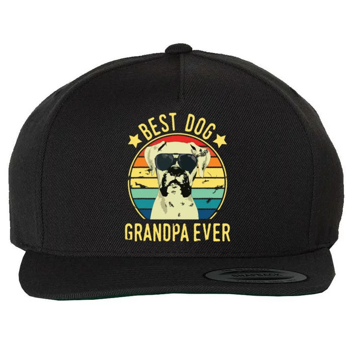 Best Dog Grandpa Ever Boxer Fathers Day Wool Snapback Cap