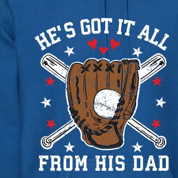 Baseball Dad Gift Premium Hoodie