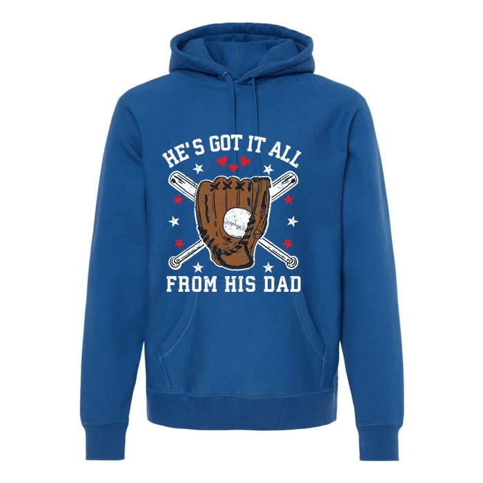 Baseball Dad Gift Premium Hoodie