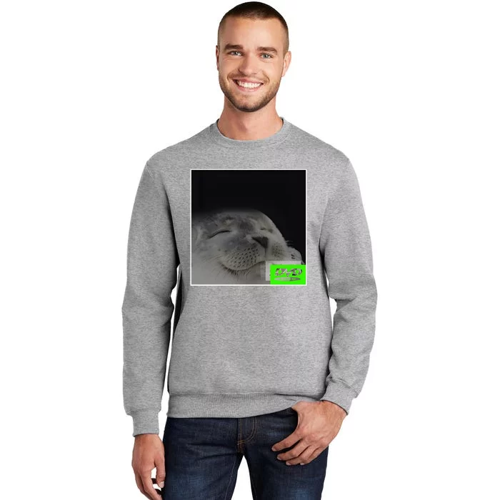 Bouncing Dvd Hits Corner Idle Screen Meme Tall Sweatshirt