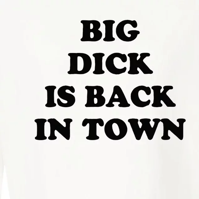 Big Dick Is Back In Town Cropped Pullover Crew