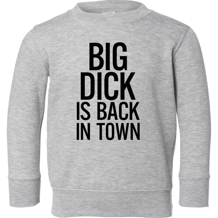 Big Dick Is Back In Town Funny Humor Sarcasm Toddler Sweatshirt