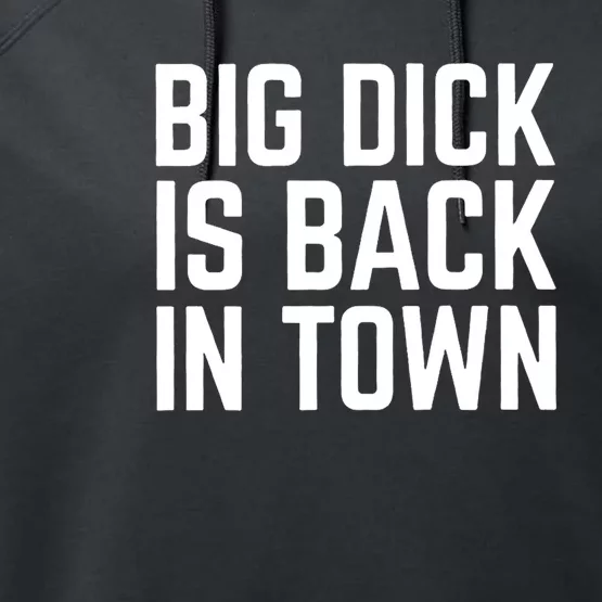 Big Dick Is Back In Town Funny Adult Sex Joke Gift Idea Performance Fleece Hoodie