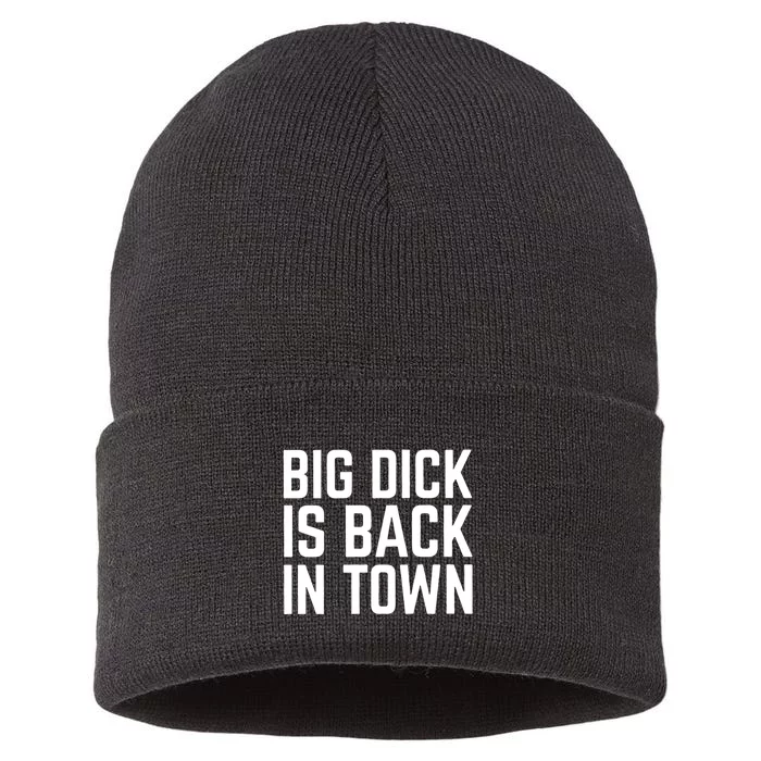 Big Dick Is Back In Town Funny Adult Sex Joke Gift Idea Sustainable Knit Beanie