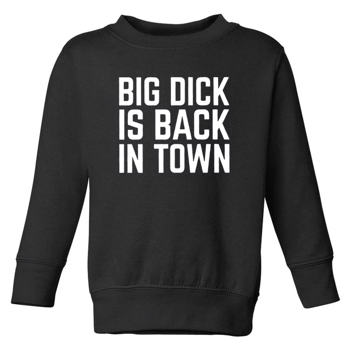 Big Dick Is Back In Town Funny Adult Sex Joke Gift Idea Toddler Sweatshirt