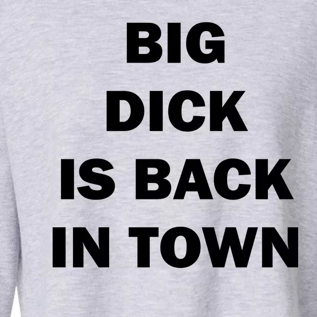 Big Dick Is Back In Town Cropped Pullover Crew