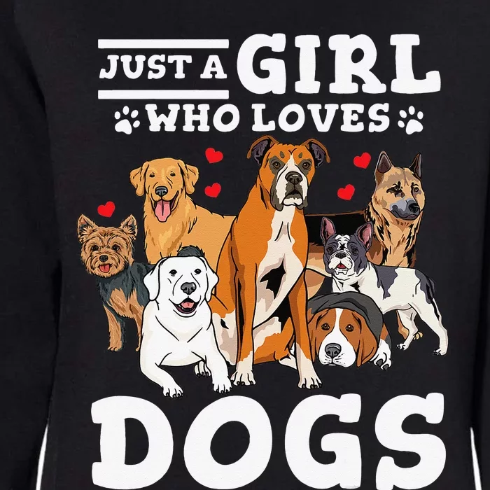 Boxer Dog Just a Who Loves Dogs Womens California Wash Sweatshirt