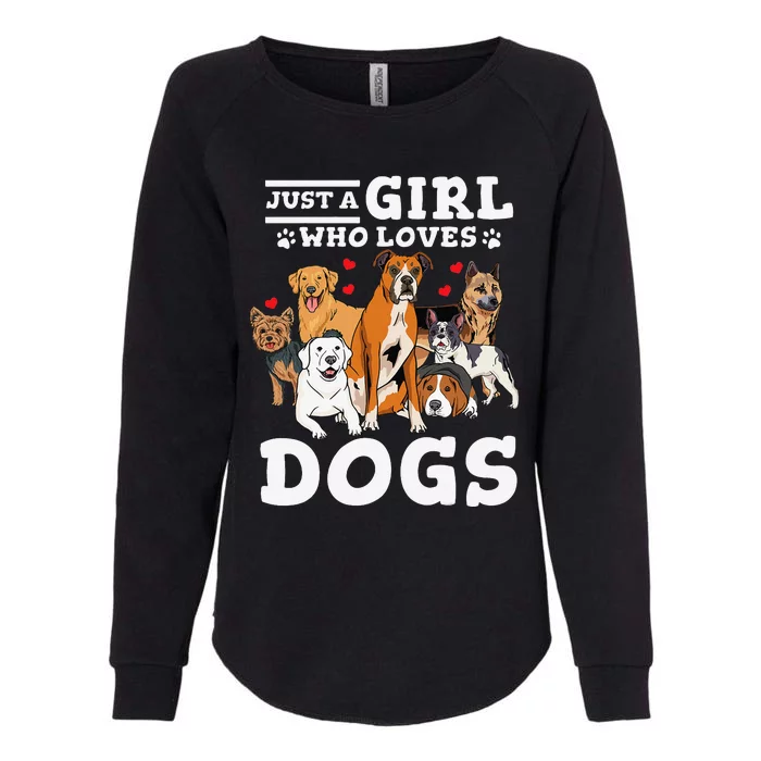 Boxer Dog Just a Who Loves Dogs Womens California Wash Sweatshirt