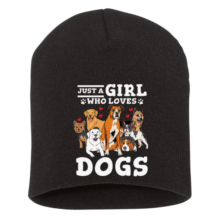 Boxer Dog Just a Who Loves Dogs Short Acrylic Beanie