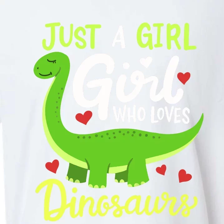 Brachiosaurus Dinosaur Just a Girl Who Loves Dinosaurs Sueded Cloud Jersey T-Shirt